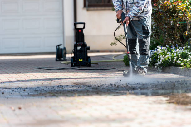 Best Pressure Washing Siding  in Trempealeau, WI