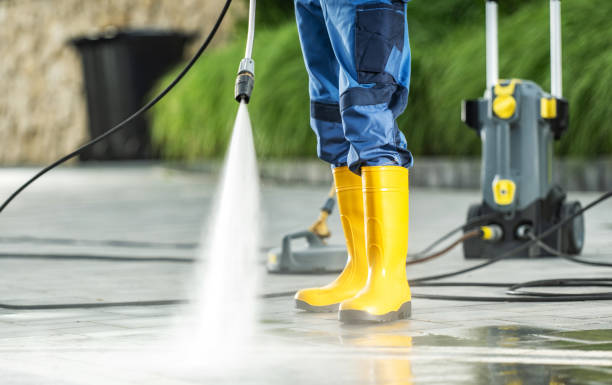 Best Deck Cleaning Services  in Trempealeau, WI